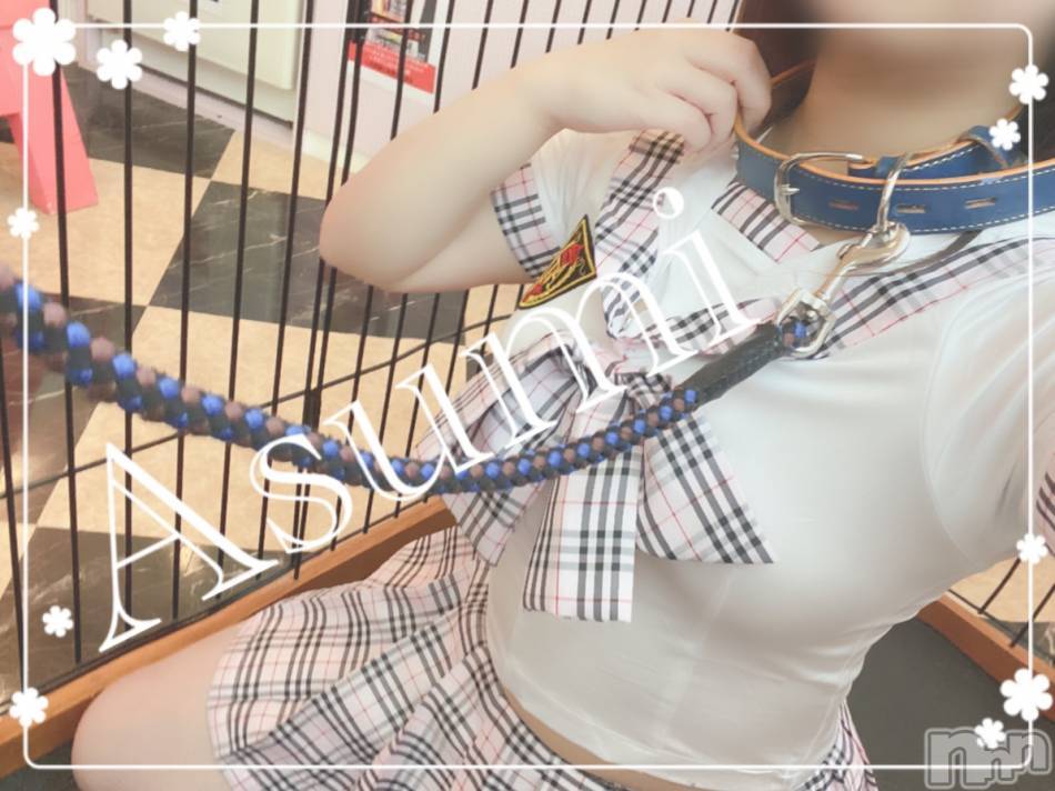 長岡デリヘル(フェイムナガオカテン)の2020年5月13日お店速報「美女探しさん　カワイイ子のご案内ですよ」