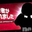 長岡デリヘル フェイム長岡店　地元の子と会える！地域密着専門店(フェイムナガオカテン)の6月4日お店速報「【業界未経験の初出勤嬢参戦】可愛い系至高のFカップ最短15:30~」