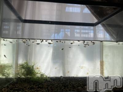 ĮХ顦La Clacion(鎥饷) ʤ926̥֥🐟