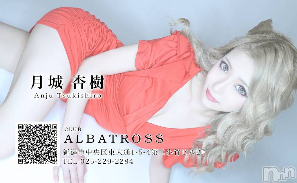 Х顦CLUB ALBATROSS(Хȥ) ɼ124̥֥΢