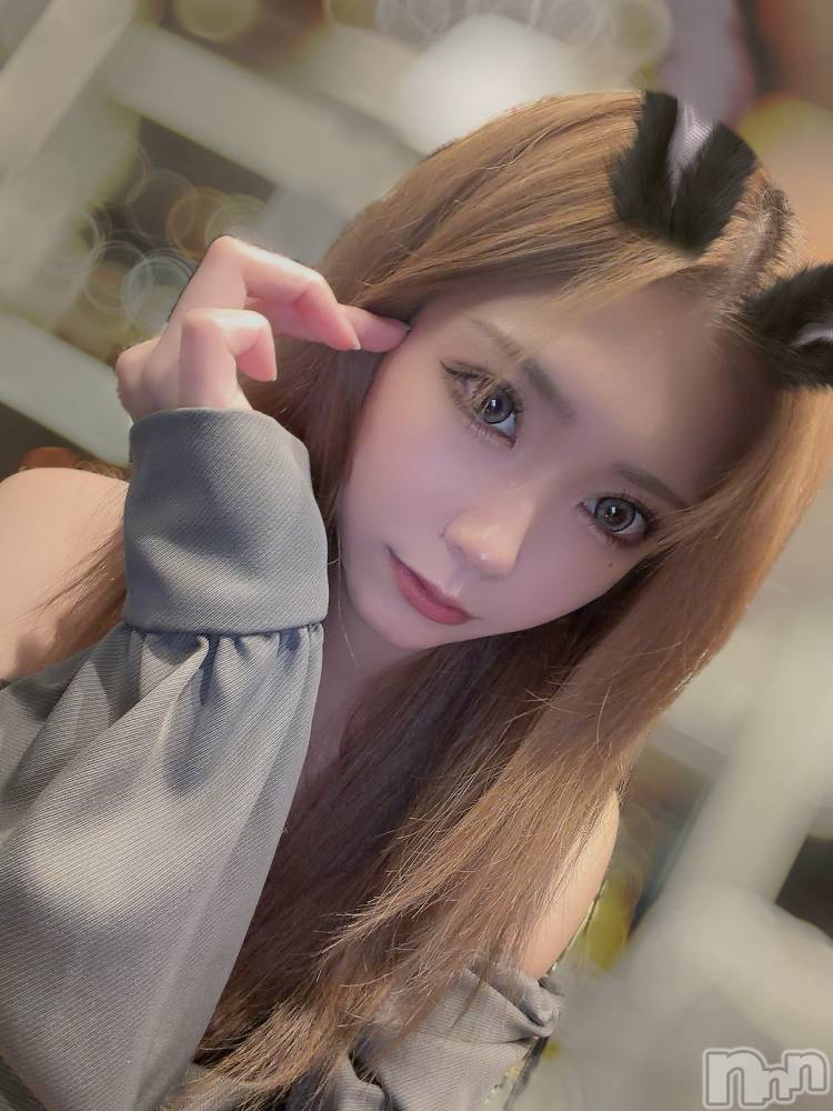 �����������Х��顦�����CLUB ALBATROSS(����Хȥ���) ���ɼ���1��19���̥�֥����֥磻����ĥ��٥��👔��