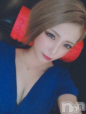 Х顦CLUB ALBATROSS(Хȥ) ɼ117̥֥