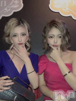Х顦CLUB ALBATROSS(Хȥ) ɼ213̥֥֥ʡor