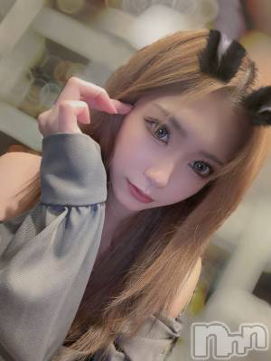 �����������Х��顦�����CLUB ALBATROSS(����Хȥ���) ���ɼ���1��19���̥�֥����֥磻����ĥ��٥��👔��