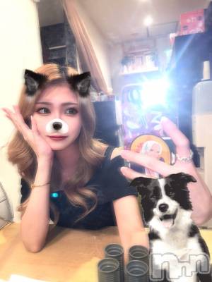 �����������Х��顦�����CLUB ALBATROSS(����Хȥ���) ���ɼ���4��6���̥�֥����֎��ώ� (�� �ϡ� ��  �� �ա�) ���ώ�    ��