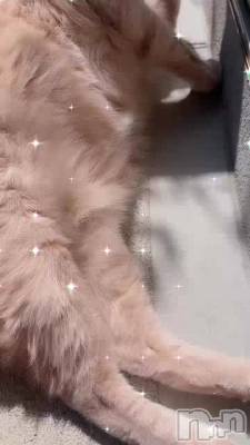 本当に一回見て癒されて