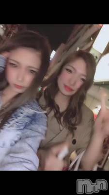 Ʊȼ鷺