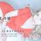 Х顦CLUB ALBATROSS(Хȥ) ɼ124̥֥΢