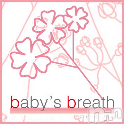 Ĺëͥ(ҥߥ) Ĺҥߥġ󥺥 baby's breath(٥ӡ ֥쥹)ҡ