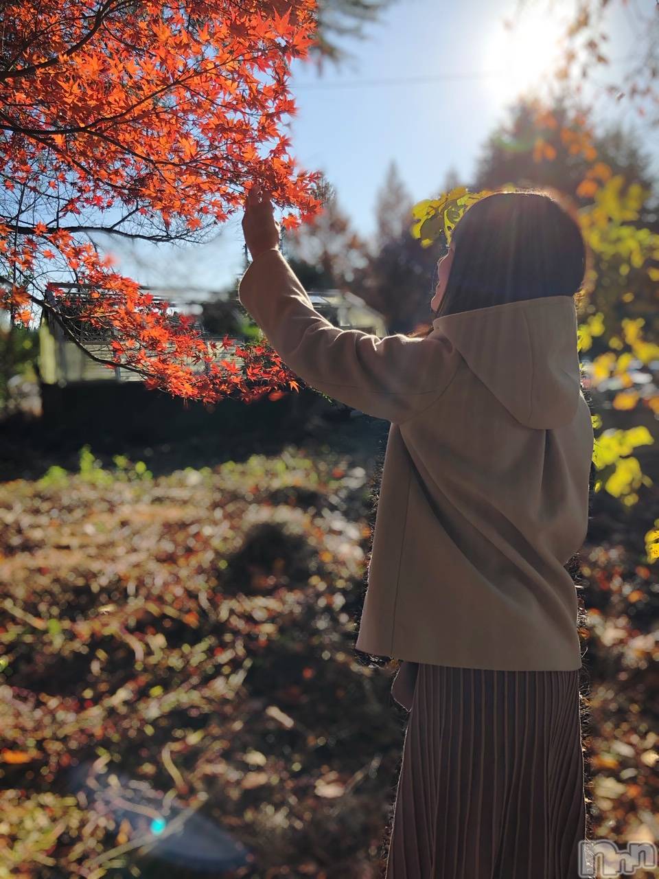 長岡デリヘルMimi(ミミ)えま(27)の2019年11月27日写メブログ「お礼」