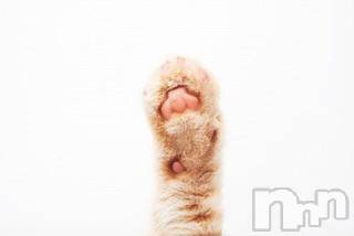 上越デリヘル 上越風俗出張アロママッサージ(ジョウエツフウゾクシュッチョウアロママッサージ) かなめ☆(38)の3月6日写メブログ「トラー☆」