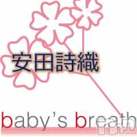新潟市中央区メンズエステ baby's breath(ベイビーズ ブレス) 安田詩織の画像(2枚目)