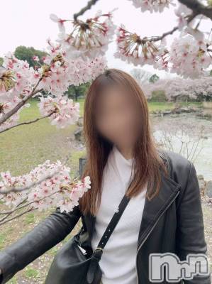 新潟デリヘル(スズランニイガタテン)の2022年4月11日お店速報「桜が満開🌸！？大人なデートしませんか？？💖」