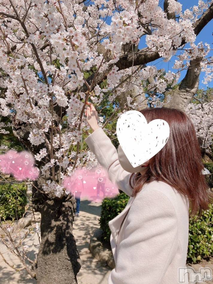 新潟デリヘル(スズランニイガタテン)の2024年4月9日お店速報「市川さんとのデートで暖まり合いませんか？？💗」