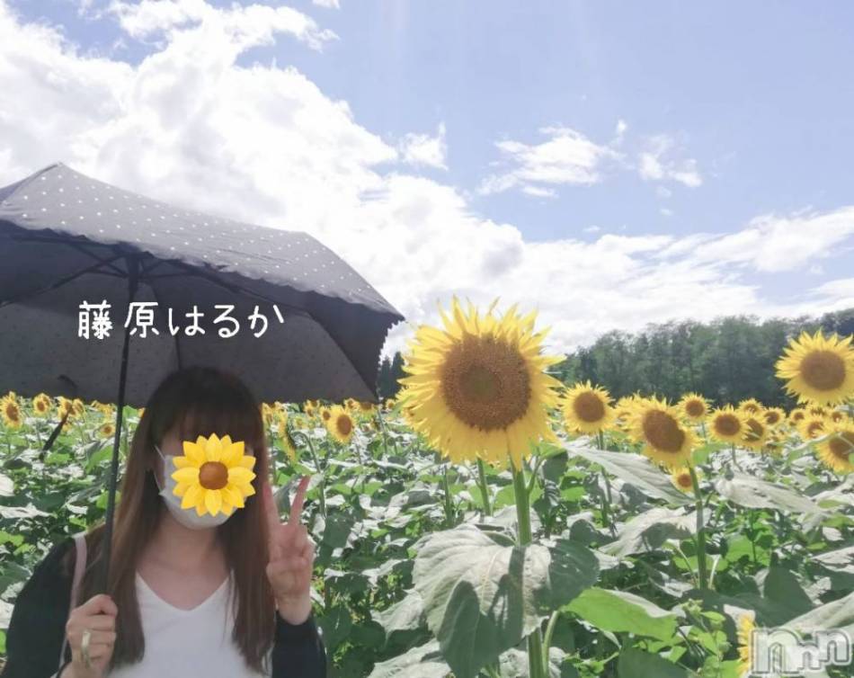 新潟デリヘル(スズランニイガタテン)の2024年8月22日お店速報「特別オプションでもっと親密に♥♥」