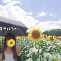 新潟デリヘル すずらん新潟店～ゆっくり長い時間を過ごせるお店～(スズランニイガタテン)の8月22日お店速報「特別オプションでもっと親密に♥♥」