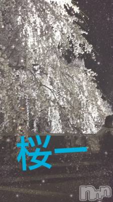 松本発デリヘル VANILLA(バニラ) みかさ(22)の4月14日写メブログ「戻ってきた～」