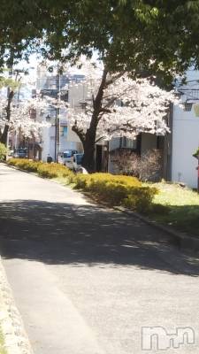 松本発デリヘル VANILLA(バニラ) みかさ(22)の4月16日写メブログ「リスカしたい」