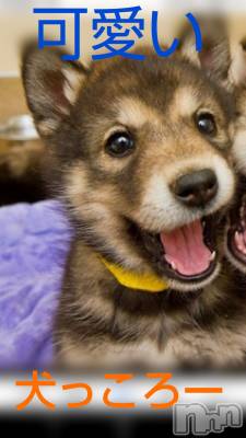 松本発デリヘル VANILLA(バニラ) みかさ(22)の4月21日写メブログ「犬っころー」