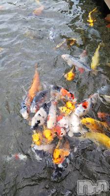 松本発デリヘル VANILLA(バニラ) みかさ(22)の4月28日写メブログ「大群、きもし！」