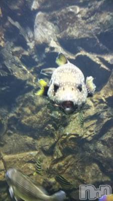 松本発デリヘル VANILLA(バニラ) みかさ(22)の4月30日写メブログ「報告！きちゃった」