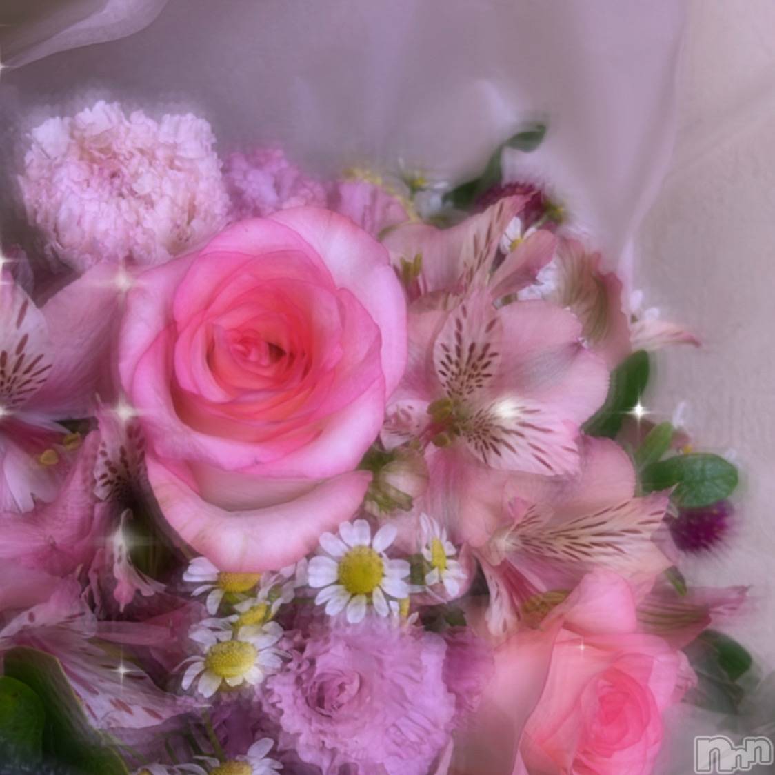 ȯĥХ顦CLUB  F.ROZEN(֥ե) 2023ǯ331̥֥🌸