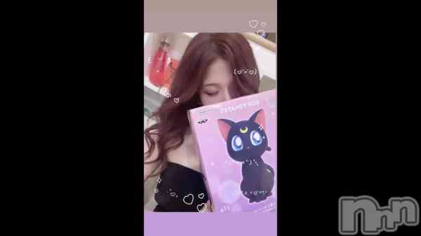 &#x1F408;&#x200D;&#x2B1B;&#x1F319; 