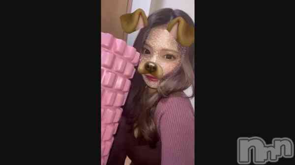 ֥ꥴ