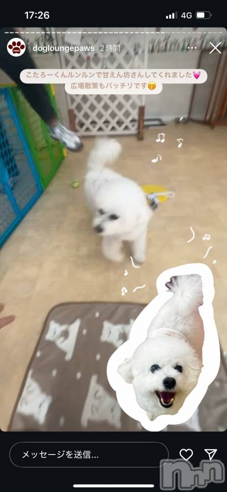 Х顦Lune LYNX(롼󥯥) ΤۤΤ723̵̥֥֤