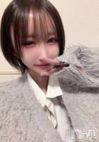 �����������Х��顦�����LYNX(��󥯥�) �����ΤۤΤ���3��4���̥�֥����֤��䤹�ߡ��㤭������ʤ��ɱ��