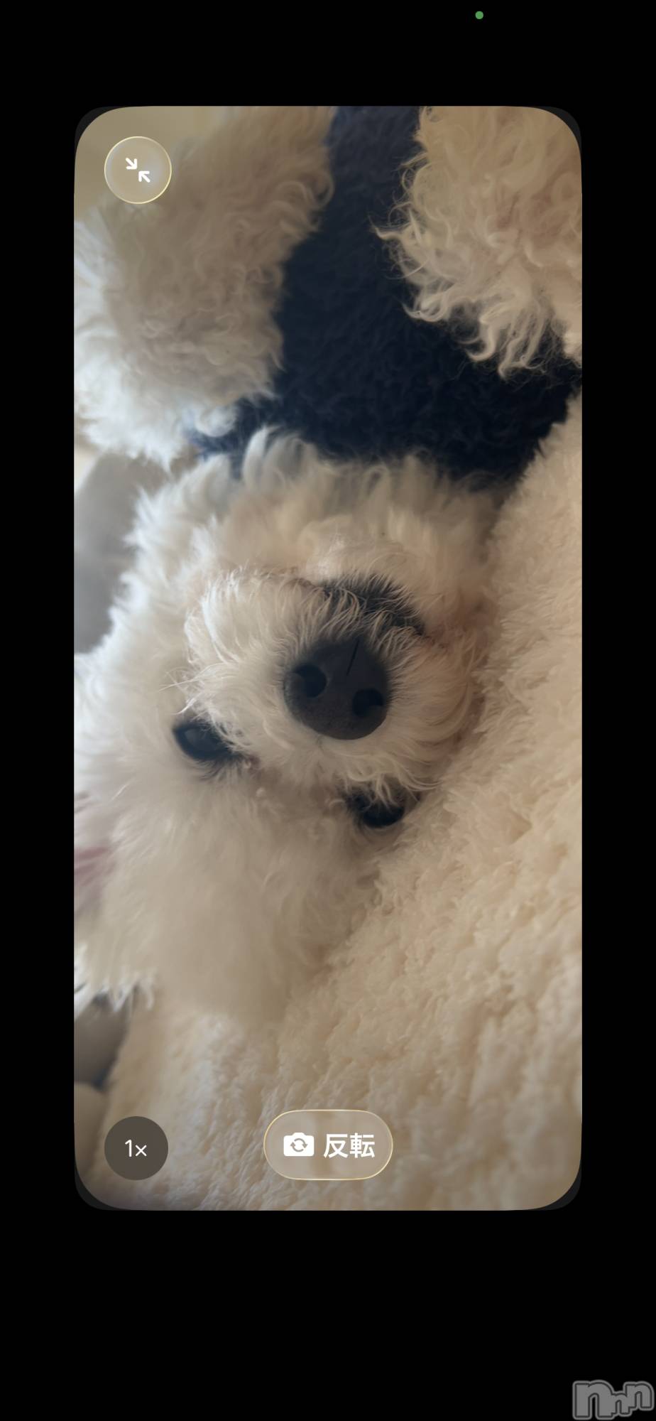 �����������Х��顦�����LYNX(��󥯥�) ��2026ǯ2��24���̥�֥�������������