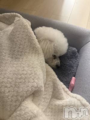 �����������Х��顦�����LYNX(��󥯥�) �����ΤۤΤ���11��28���̥�֥������Ѥʤ�������