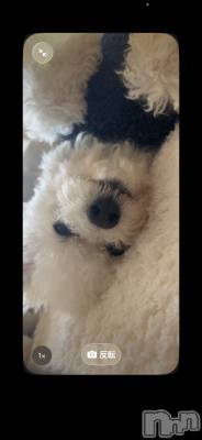 �����������Х��顦�����LYNX(��󥯥�) �����ΤۤΤ���2��24���̥�֥�������������