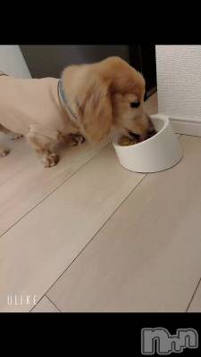 �����������ݤ����餤�ĤǤ�ޤ�3���äƤʤ��衩