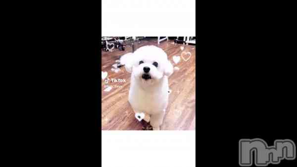 ��1��29�� 08��21ʬ��ư���