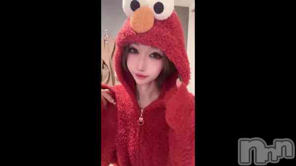 ��2��19�� 20��19ʬ��ư���