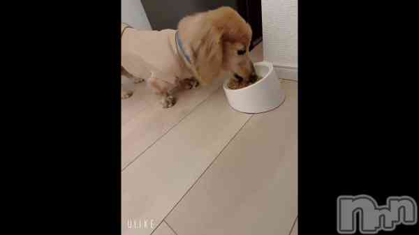 �ֹ����������ݤ����餤�ĤǤ�ޤ�3���äƤʤ��衩��