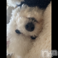 �����ΤۤΤ� ����