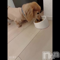 �����ΤۤΤ� ����