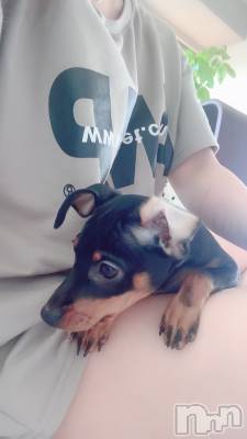 松本発デリヘル VANILLA(バニラ) まみ(19)の5月29日写メブログ「わんわん」