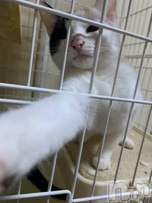 松本発デリヘル VANILLA(バニラ) まみ(19)の8月19日写メブログ「ごめんなさい。。。」