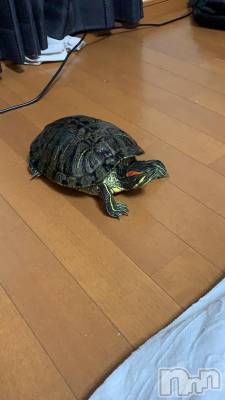 松本発デリヘル VANILLA(バニラ) まみ(19)の12月16日写メブログ「たびたびすみません😭」