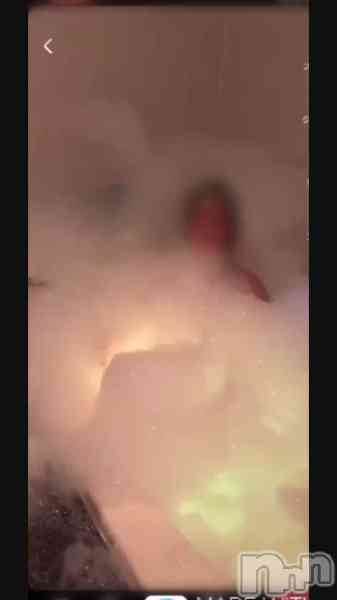 まみの動画 仲良し