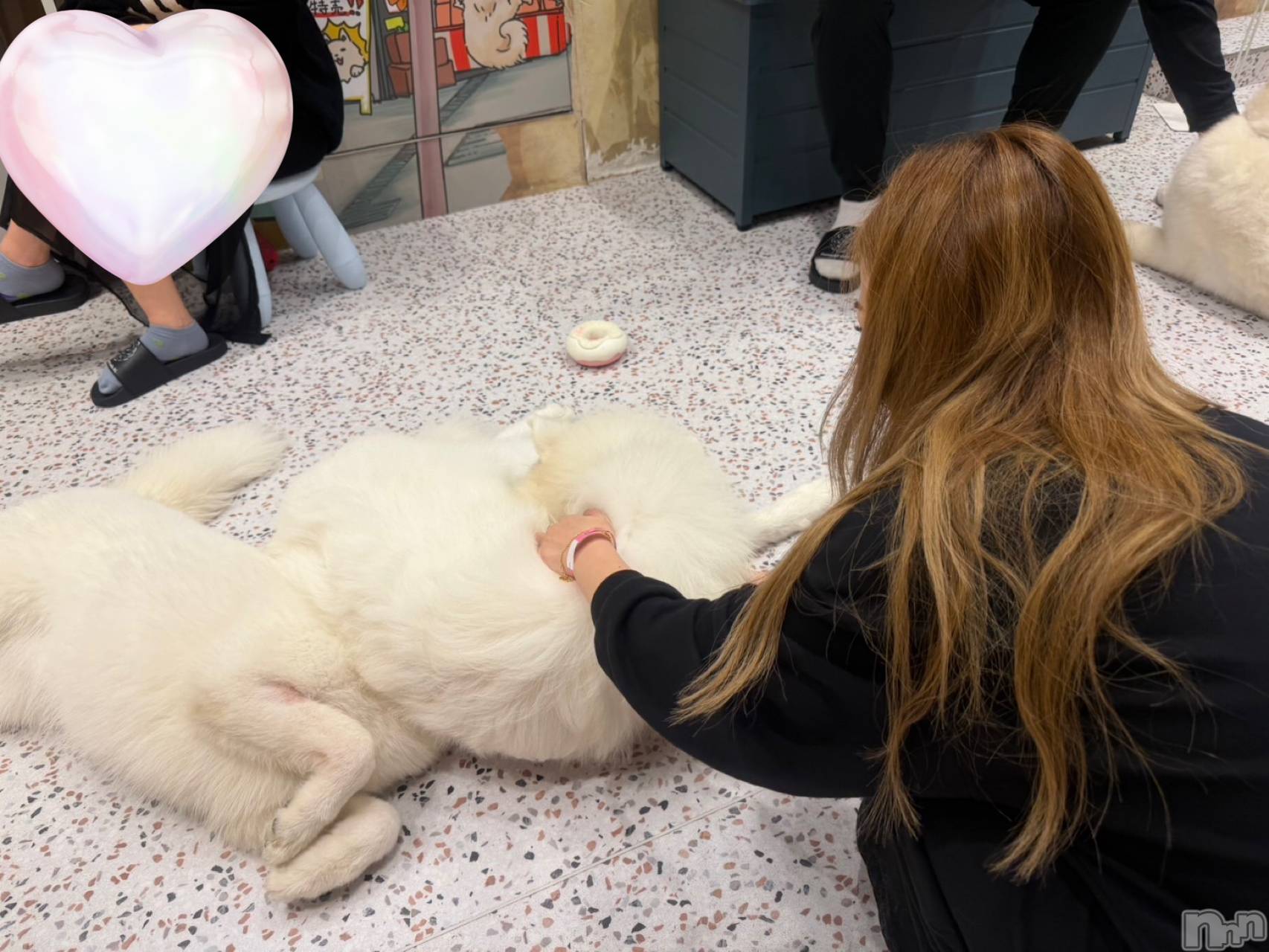 ܱХ顦club Eight(֡) 2025ǯ1111̥֥1111 1927ʬΥ֥