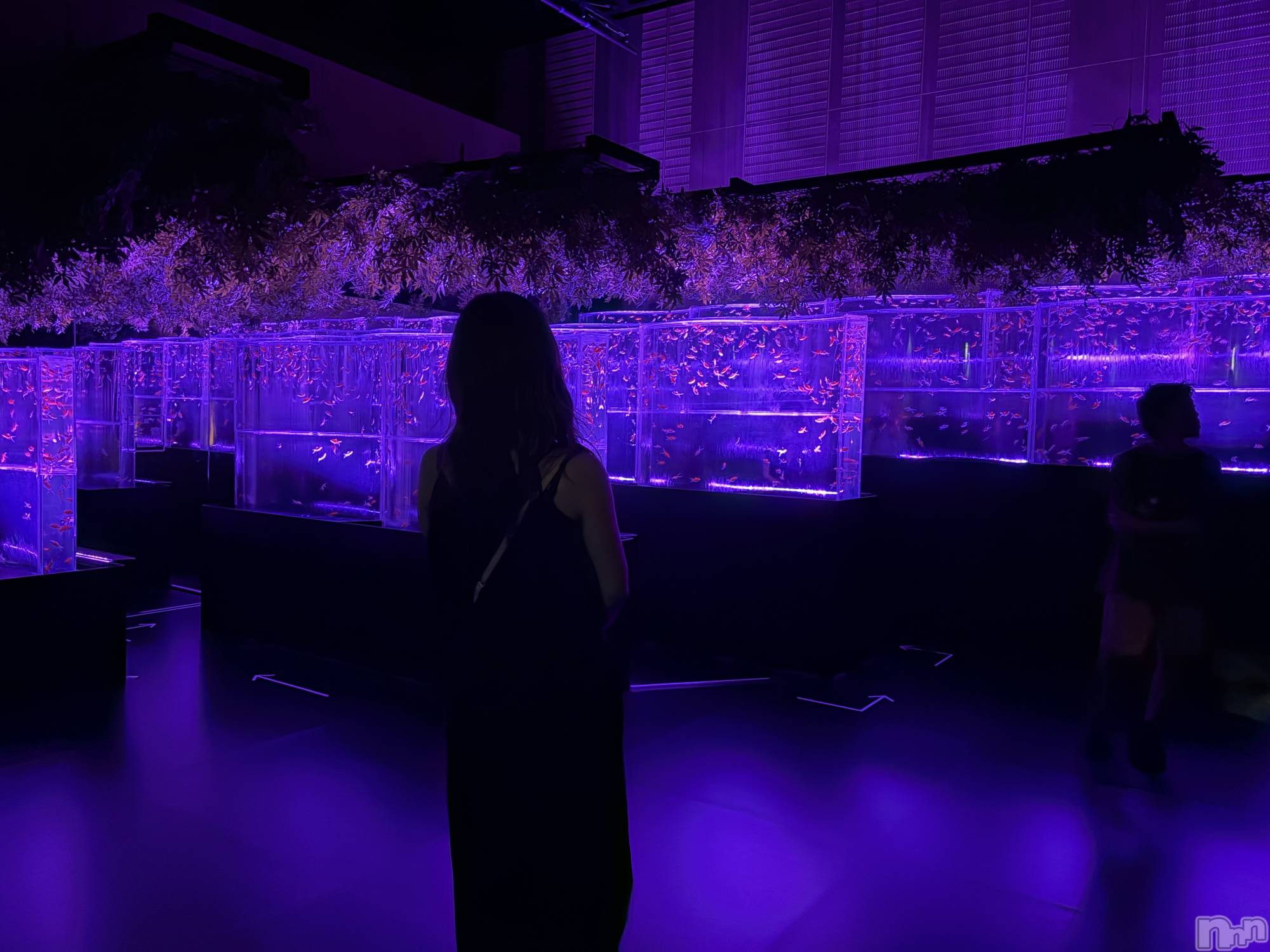 ���ܱ�������Х��顦�����club Eight(����֡�������) ��2026ǯ8��27���̥�֥�����8��27�� 19��23ʬ�Υ֥�����