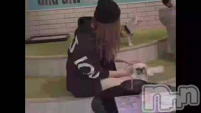1117 1747ʬΥ֥