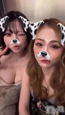 519 1947ʬΥ֥