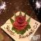 ʥå륺СʥåBar Peace(ʥåС ԡ) 1230̥֥1230 1556ʬΥ֥