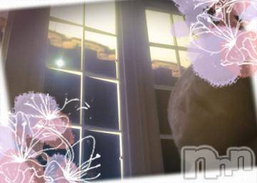 新潟デリヘル五十路マダム新潟店(カサブランカグループ)(イソジマダムニイガタテン) 鈴木かのん(43)の9月14日写メブログ「ペンギン村から♪」