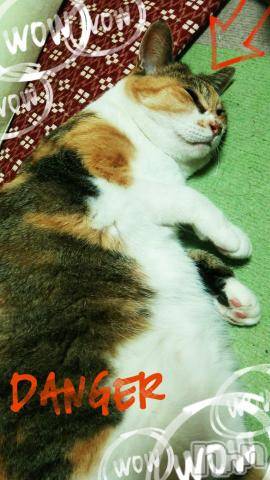 新潟デリヘル五十路マダム新潟店(カサブランカグループ)(イソジマダムニイガタテン) 鈴木かのん(43)の5月16日写メブログ「ふて寝。」